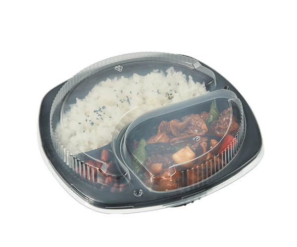 plastic disposable food container