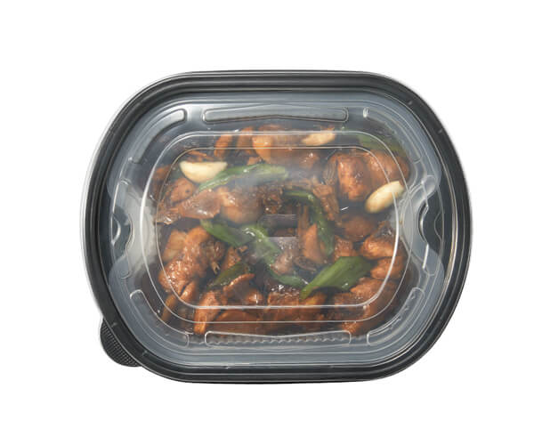 plastic disposable food containers