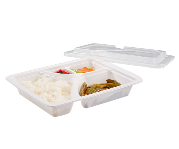 plastic disposable food container