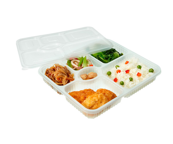 plastic disposable food container