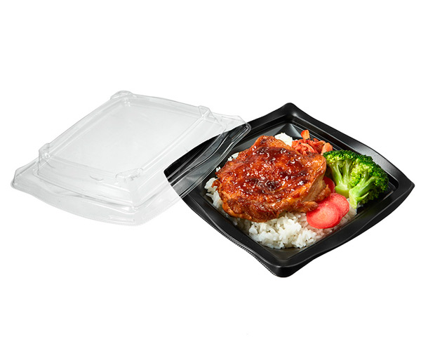 disposable clear plastic containers