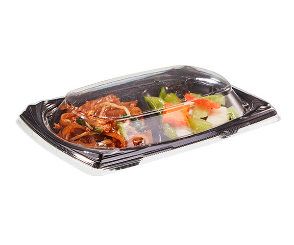 disposable transparent plastic food containers