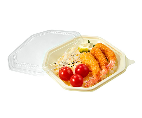 plastic disposable food container