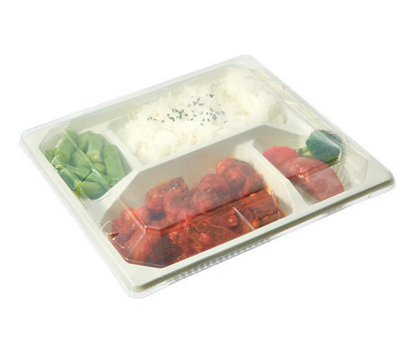 plastic disposable food containers