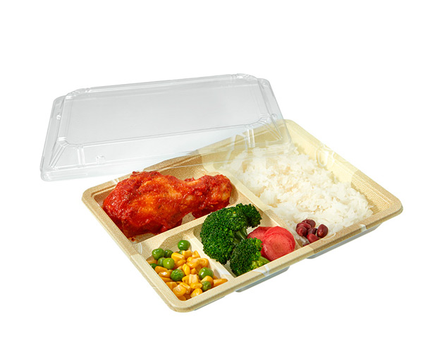 plastic disposable containers