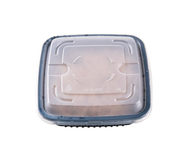 plastic disposable food containers