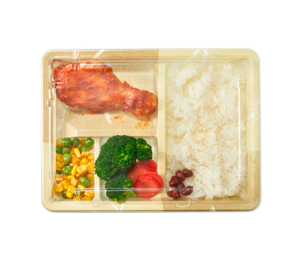 plastic disposable food containers