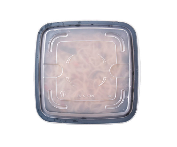 plastic food containers with lids disposable