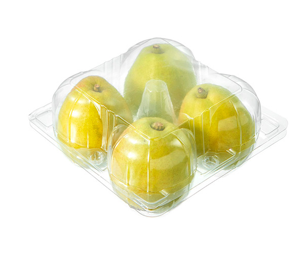 disposable fruit pots