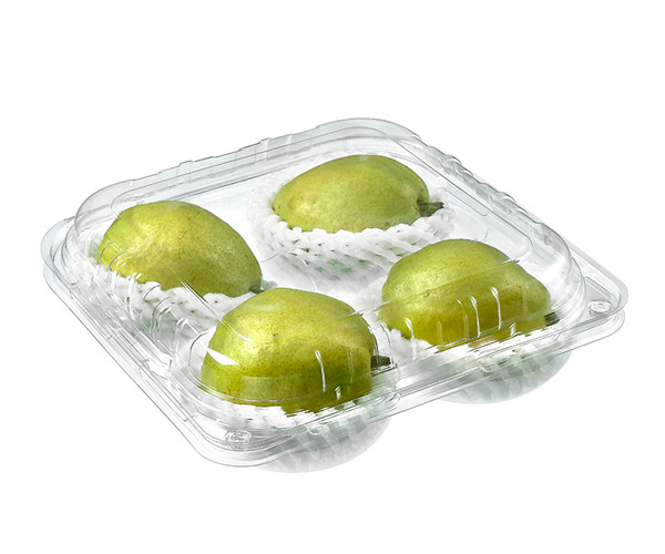 compostable food packaging