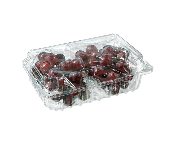 disposable fruit pots