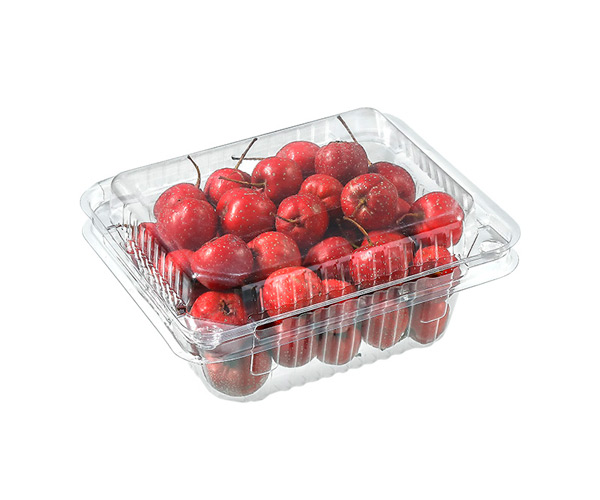 disposable fruit pots