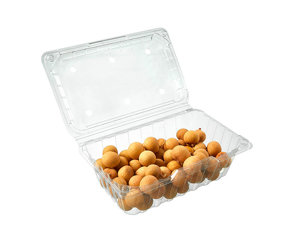 disposable fruit pots