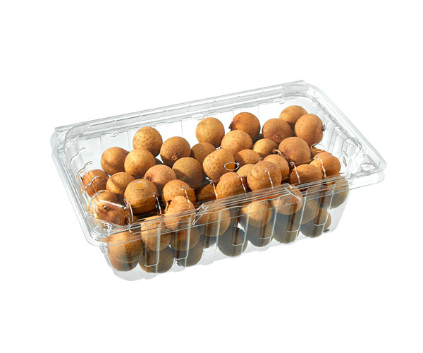 types of biodegradable food packaging