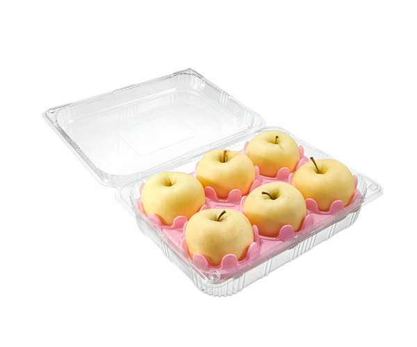 biodegradable food packaging