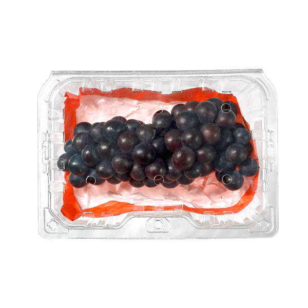 打孔设计新鲜水果葡萄包装和储存带孔的透明容器