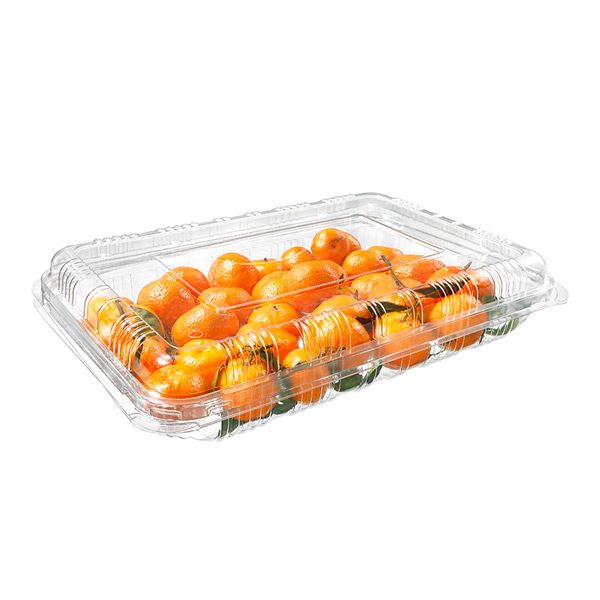 定制尺寸和形状设计甜小橙子新鲜水果包装取出塑料盒