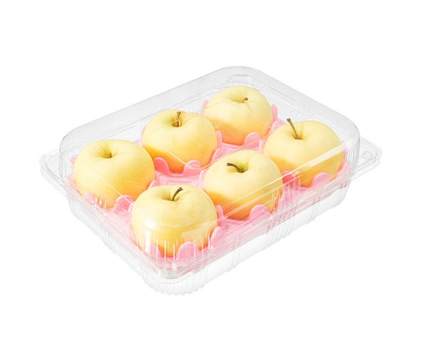disposable fruit pots
