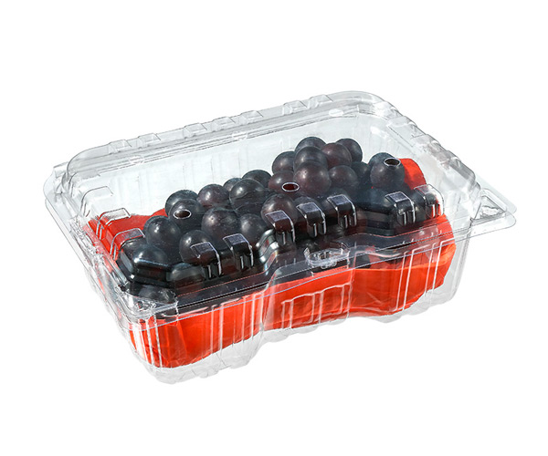 disposable fruit pots