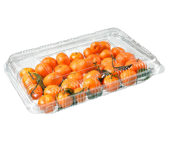 disposable fruit pots