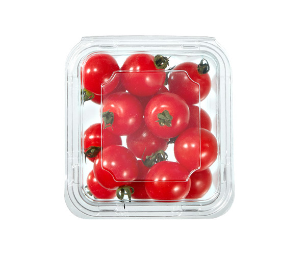biodegradable food packaging