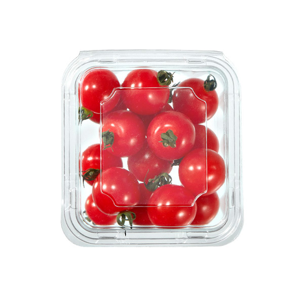 200克樱桃番茄取出保鲜一次性水果包装经典盒