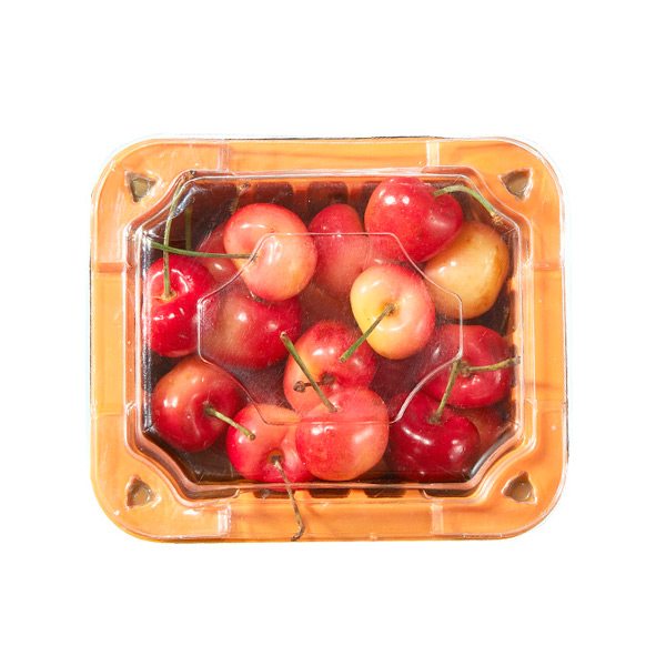 彩色250克平克黑莓李子新鲜水果外卖包装盒，带提格盖