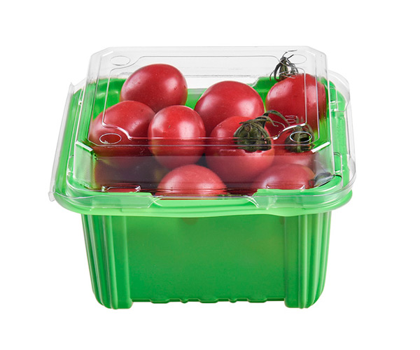 disposable fruit cup containers