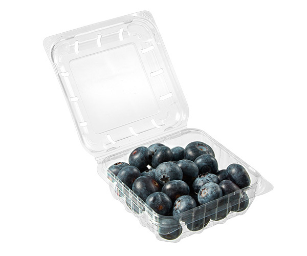 disposable fruit pots