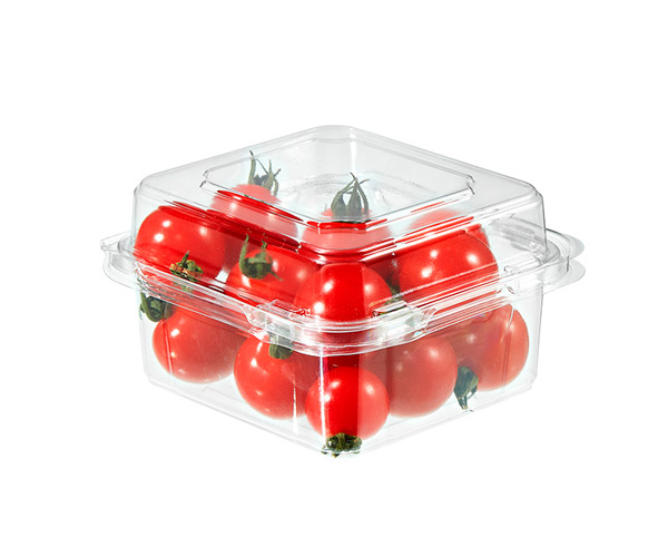 disposable fruit pots